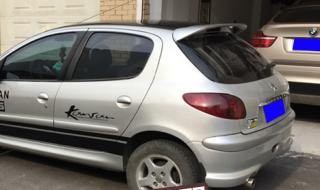 标致206改装 标致206改装