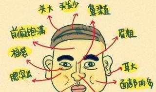 什么面相的男人有福 什么面相的男人有福