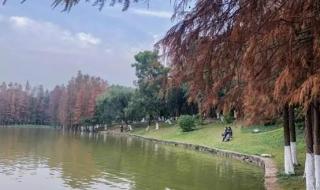 帐篷的分类 帐篷的分类