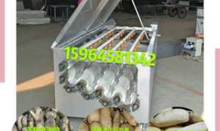 芋头去皮机 芋头去皮机