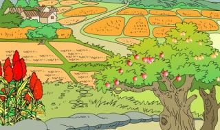 描写秋天丰收的句子 描写秋天丰收的句子