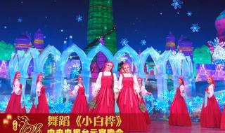 龙年元宵晚会主持词