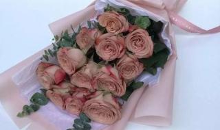 cappuccino cappuccino